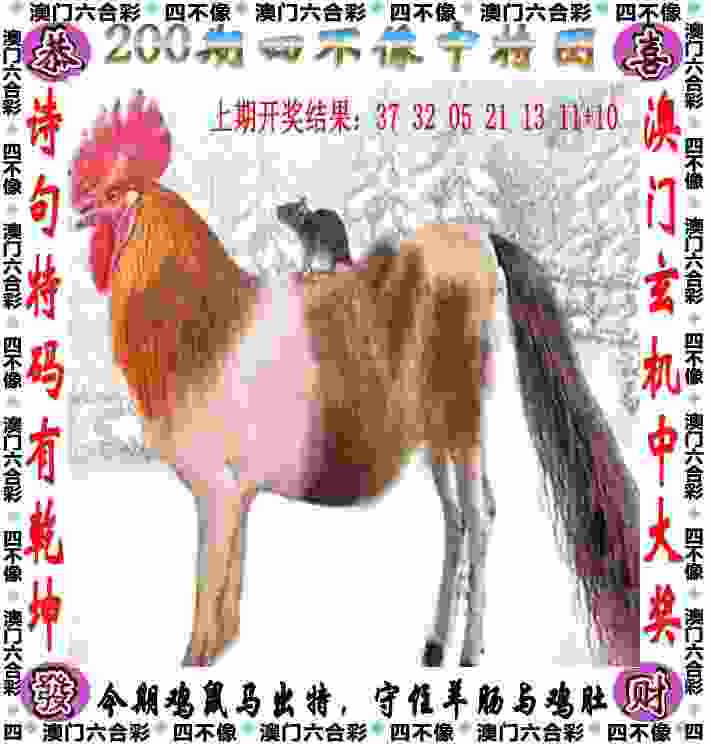 王成快转会延边龙鼎：大连英博中场的职业新篇章